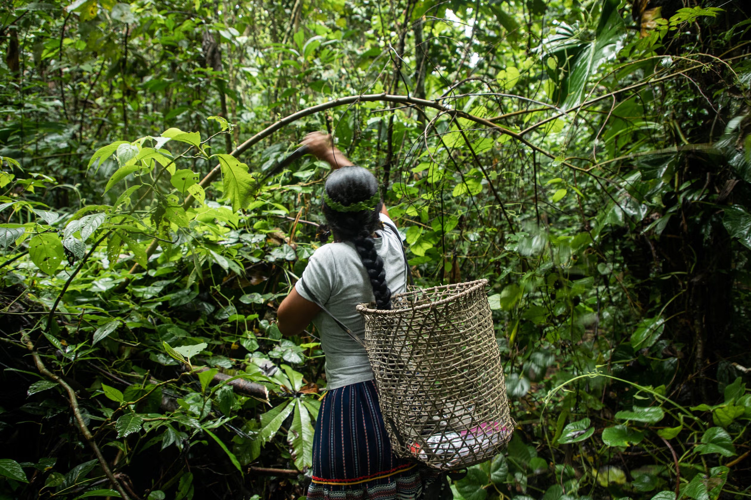 Conservation International
